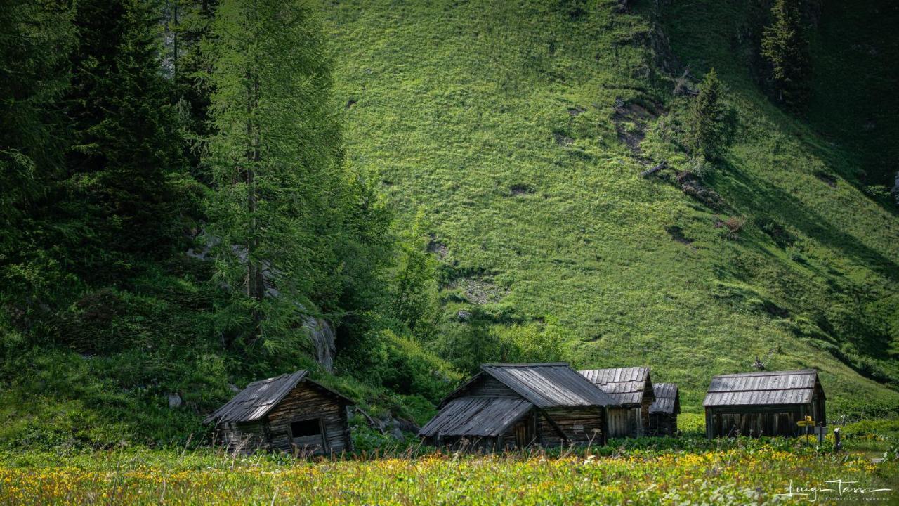 Haus Egger Διαμέρισμα Kartitsch Εξωτερικό φωτογραφία